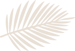 layout-slider2-01